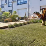 Amenagement exterieur Auray realisation 05 Jan